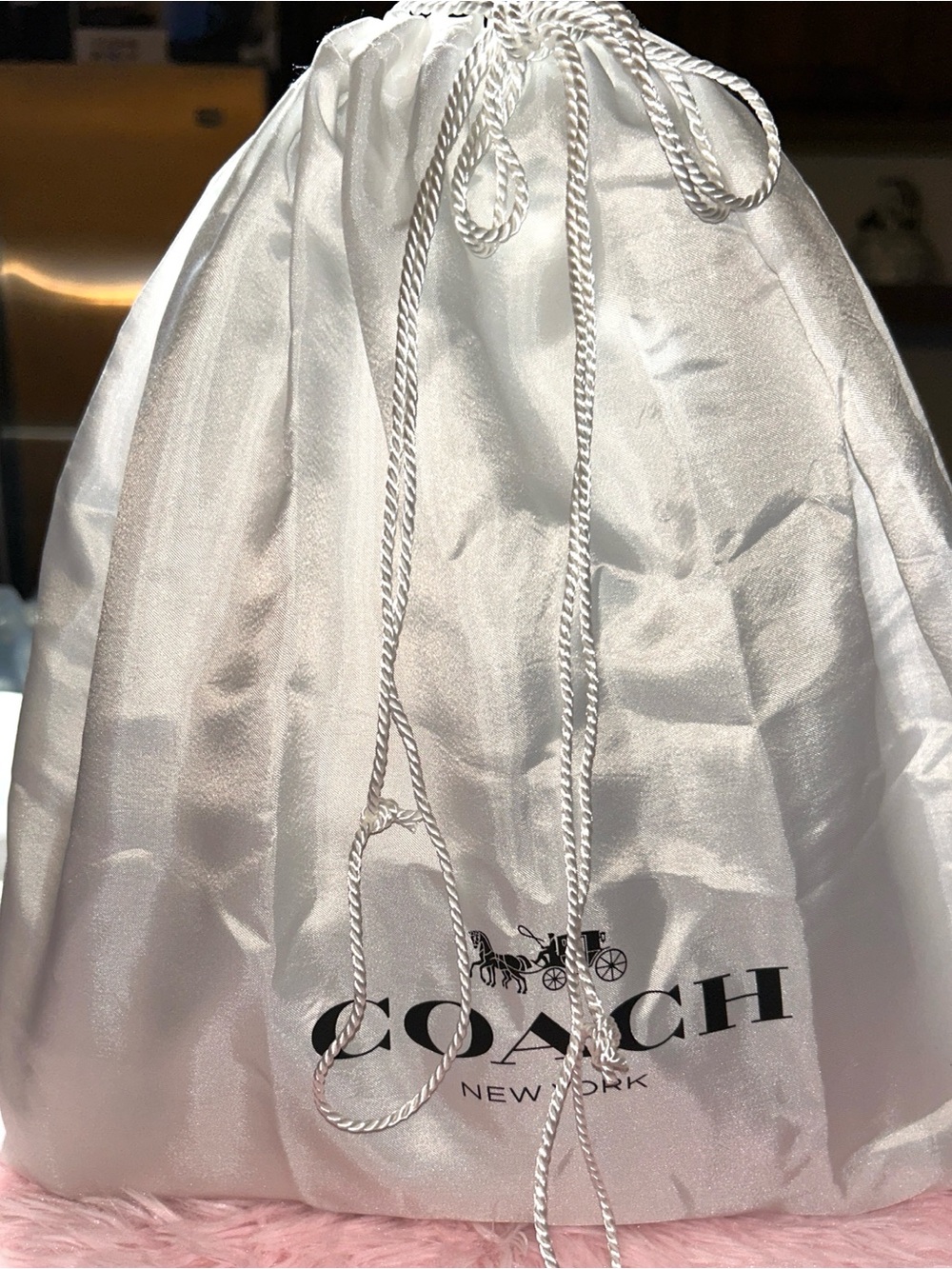 Coach Lana 23 Suede/Peanut - Picture 13 of 13